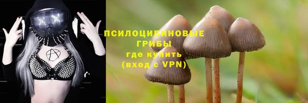 амф Алексин