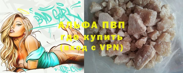 амф Алексин
