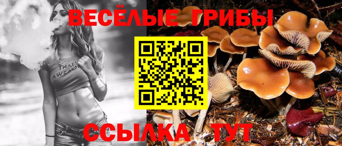 Псилоцибиновые грибы Cubensis  Вход с VPN  Октябрьский  где купить наркотик  Галлюциногенные грибы ЛСД 